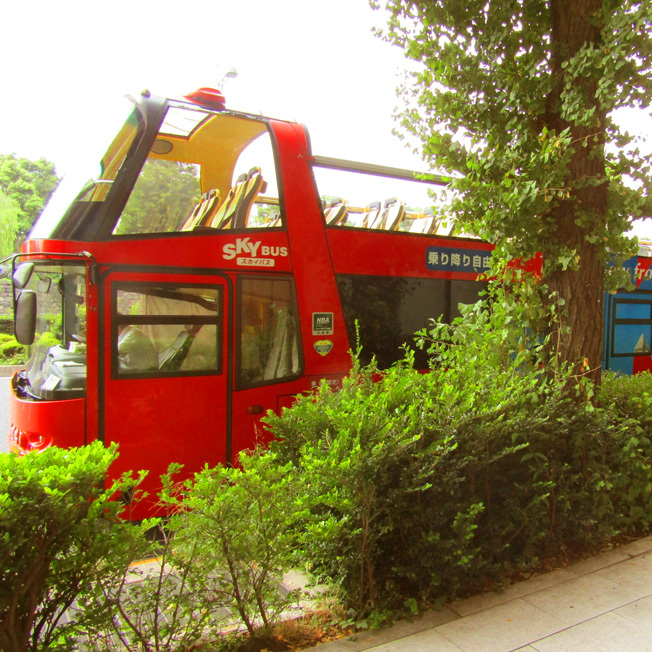 a0329820_10370078.jpg