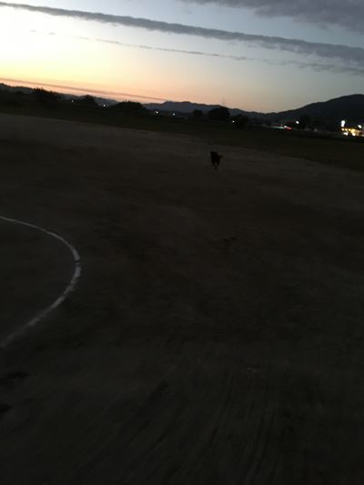 c0114121_23323786.jpg