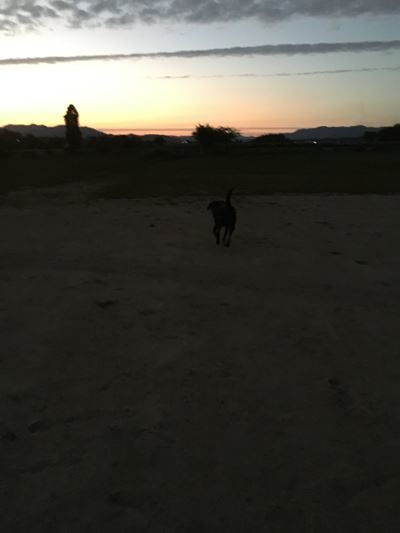 c0114121_23324365.jpg