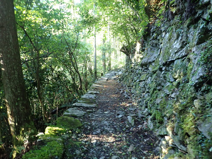 f0193521_59251.jpg
