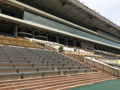 沙田競馬場で開催されたナショナルデーカップで賭ける☆National Day Cup at Sha Tin Horse Raciecourse in Hong Kong_f0371533_17341831.jpg