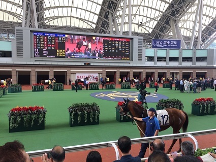 沙田競馬場で開催されたナショナルデーカップで賭ける☆National Day Cup at Sha Tin Horse Raciecourse in Hong Kong_f0371533_17384118.jpg