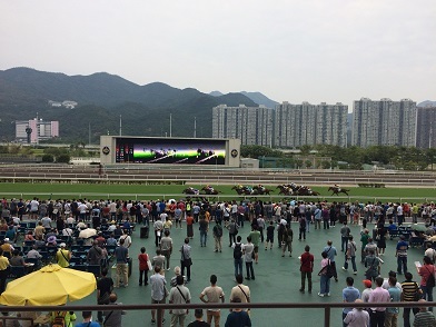 f0371533_17390711.jpg