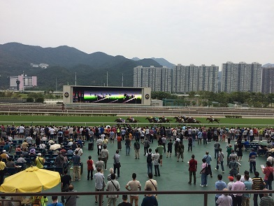 沙田競馬場で開催されたナショナルデーカップで賭ける☆National Day Cup at Sha Tin Horse Raciecourse in Hong Kong_f0371533_17390711.jpg