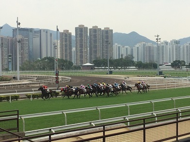 沙田競馬場で開催されたナショナルデーカップで賭ける☆National Day Cup at Sha Tin Horse Raciecourse in Hong Kong_f0371533_17393805.jpg