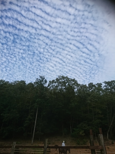 e0145441_20164777.jpg