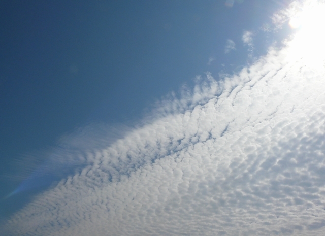 b0248954_15225625.jpg