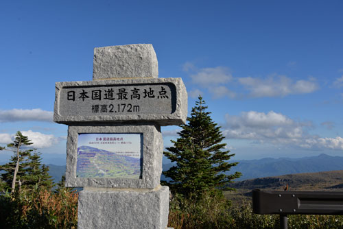 b0016557_17523522.jpg