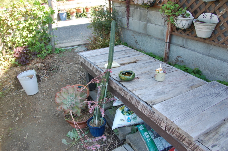 c0108460_17592283.jpg