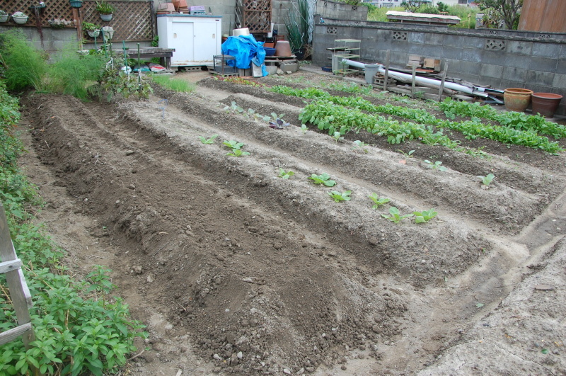 c0108460_17595250.jpg