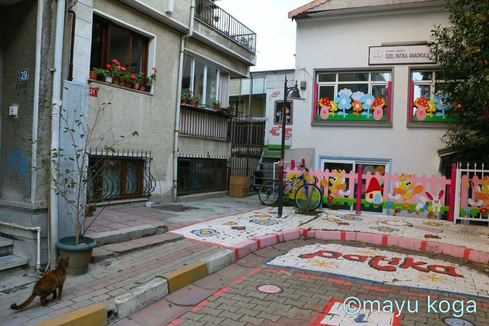 ニャン児だらけの幼稚園と片目店長_e0255060_13301871.jpg