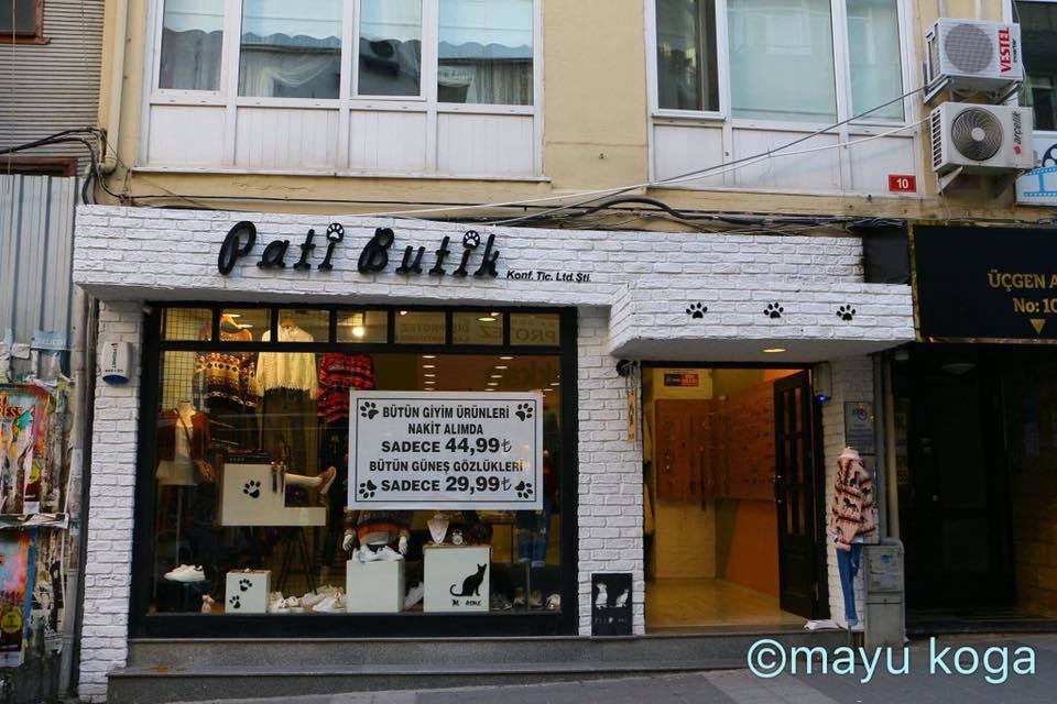 ニャン児だらけの幼稚園と片目店長_e0255060_15293133.jpg