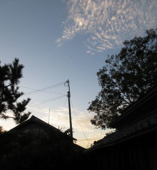 c0114063_08482008.jpg
