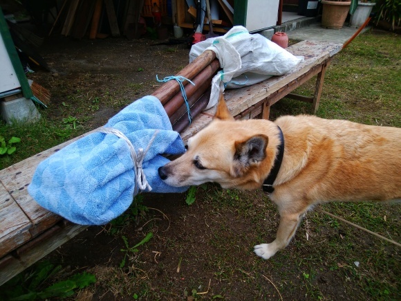 f0376072_23001157.jpeg
