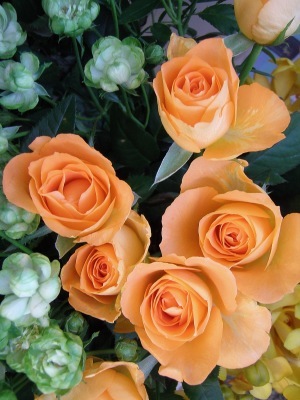 f0007380_17562783.jpg