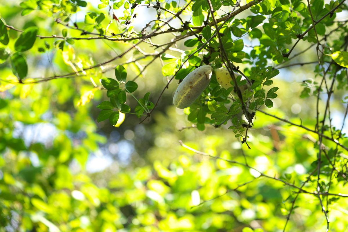 a0083081_12032511.jpg