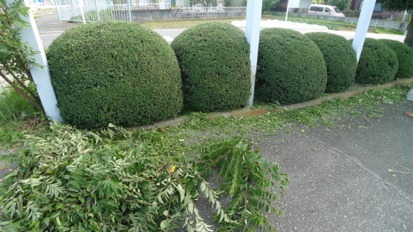 c0212083_17455559.jpg