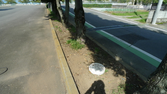 c0212083_17462563.jpg