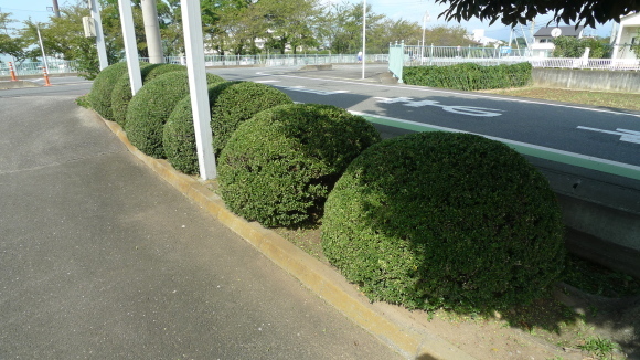 c0212083_17463537.jpg
