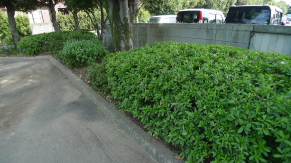 c0212083_17464626.jpg