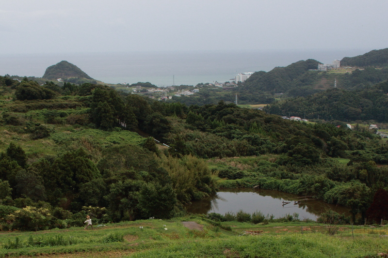 鴨川市　海の見える二子棚田_e0165983_10192206.jpg