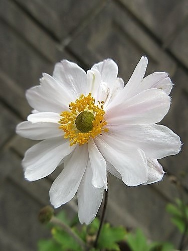b0182884_00091464.jpg