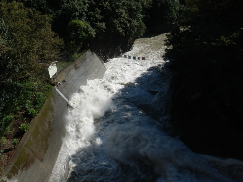 b0334084_21373870.jpg
