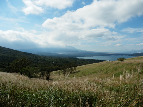 b0334084_21394835.jpg