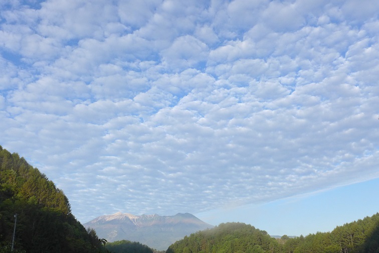 a0130586_08550125.jpg