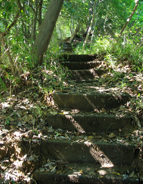 b0123486_07332214.jpg