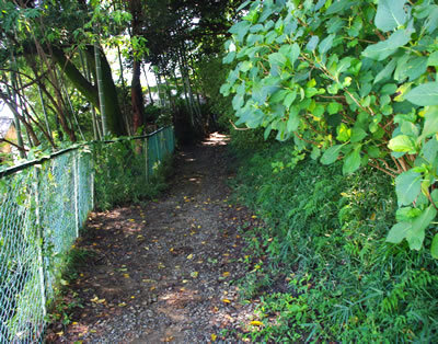 b0123486_09212904.jpg