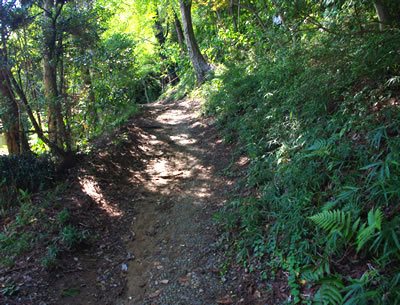 b0123486_09414957.jpg