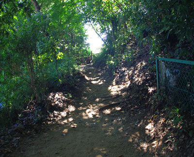 b0123486_09440286.jpg