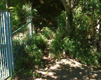 b0123486_10503808.jpg
