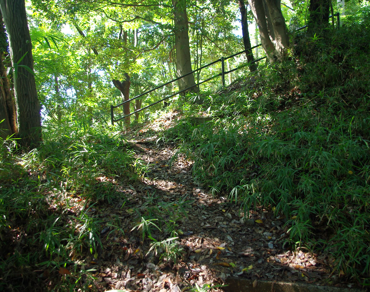 b0123486_12350052.jpg