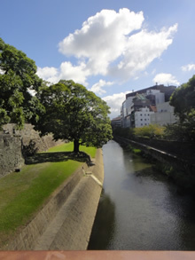 d0132289_18203727.jpg
