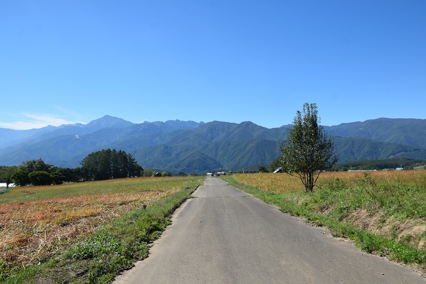 d0099791_00285370.jpg