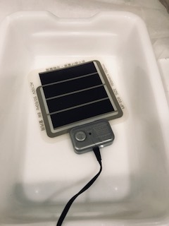 c0113396_20355440.jpg