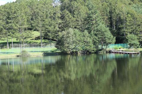 c0090198_18162655.jpg