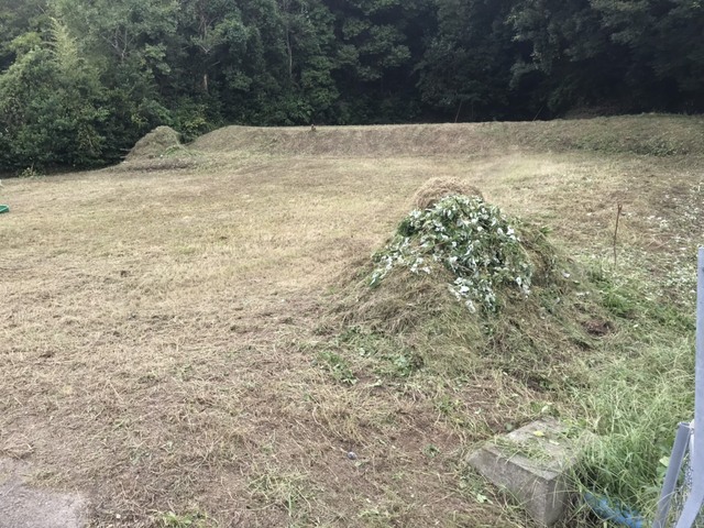 e0270198_16585839.jpg