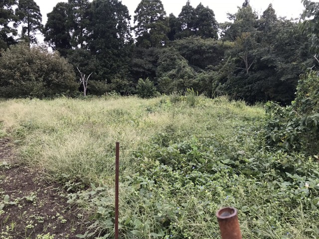 e0270198_1705091.jpg