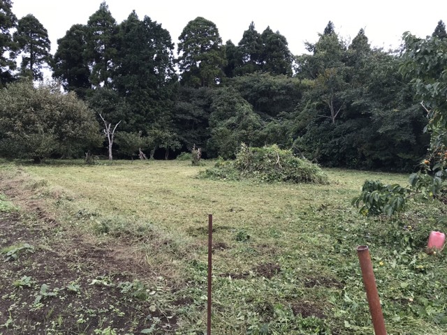 e0270198_173193.jpg