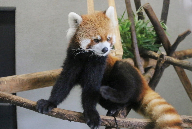a0306502_22243958.jpg