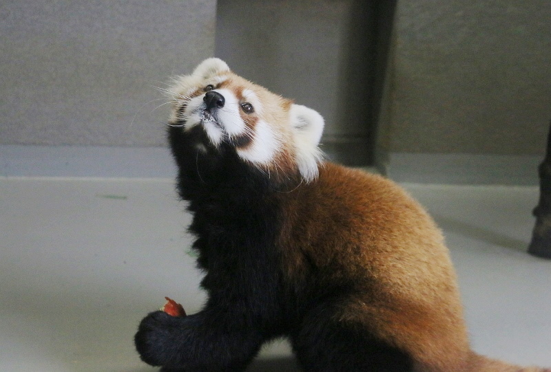 a0306502_22364764.jpg