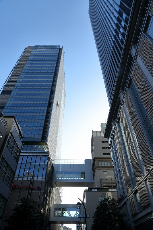 b0291402_08290835.jpg
