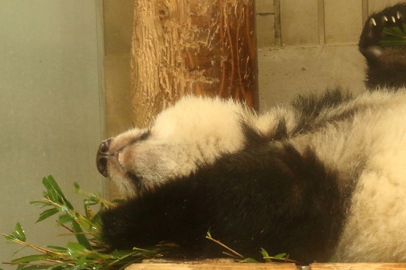 b0291402_14540932.jpg