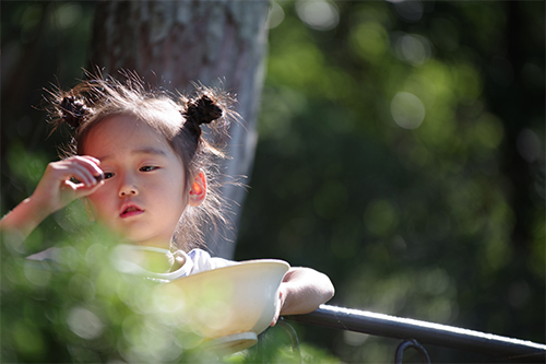 プレゼント ー終ー 陽だまりの小窓 菊の花幼稚園保育のようす