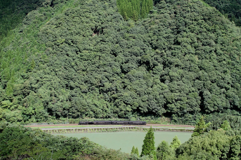 b0190710_22352491.jpg