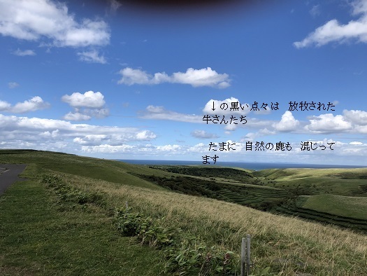 c0046316_21492225.jpg