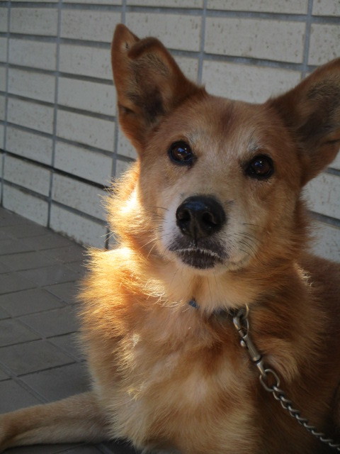 f0078320_00131859.jpg